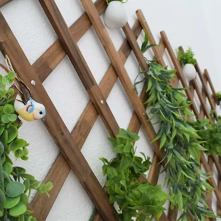 펜션 Casa Da Mouraria 파로