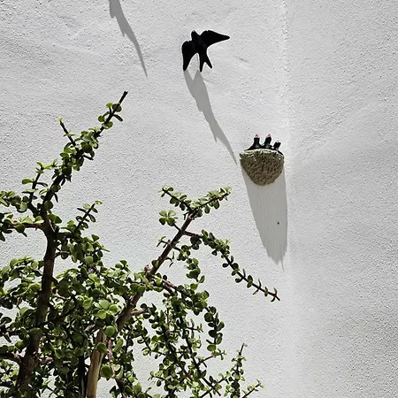 Casa Da Mouraria Faro